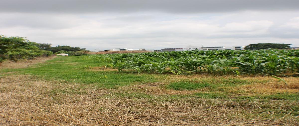 Foto de terreno comercial en , solares, zapopan, jalisco, 0 foto 05 Foto de terreno comercial en venta en , solares, zapopan, jalisco, 0 No. 05