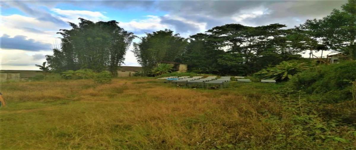 Foto de terreno comercial en venta en soledad 101, ciudad de cuetzalan, cuetzalan del progreso, puebla, 0 No. 03
