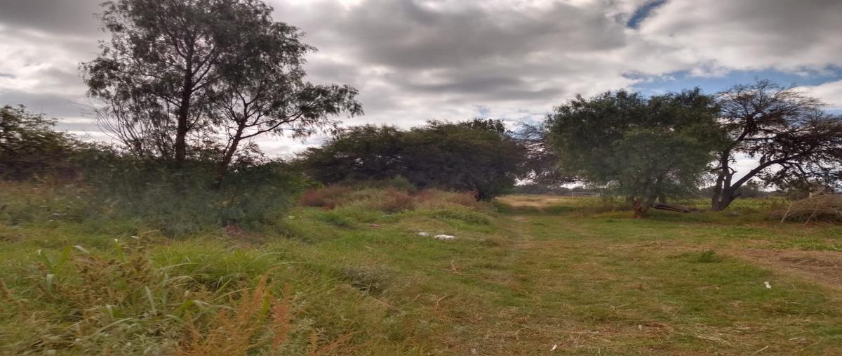 Foto de terreno habitacional en venta en  , soledad de graciano sanchez centro, soledad de graciano sánchez, san luis potosí, 22852730 No. 04