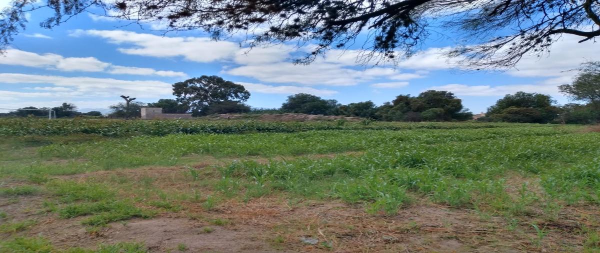 Foto de terreno habitacional en venta en  , soledad de graciano sanchez centro, soledad de graciano sánchez, san luis potosí, 22852730 No. 05