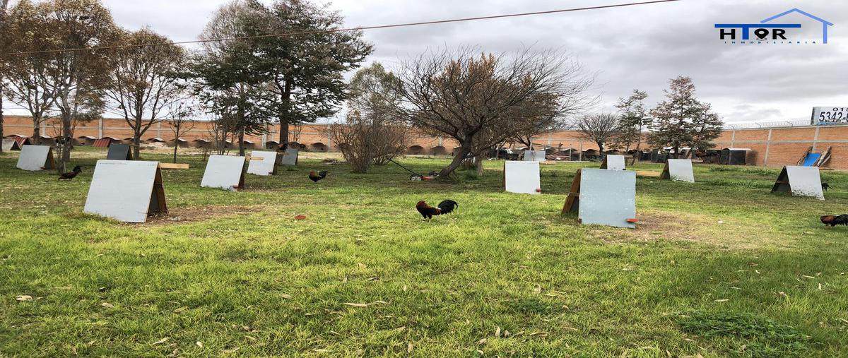 Foto de terreno habitacional en venta en  , soledad de graciano sanchez centro, soledad de graciano sánchez, san luis potosí, 0 No. 05