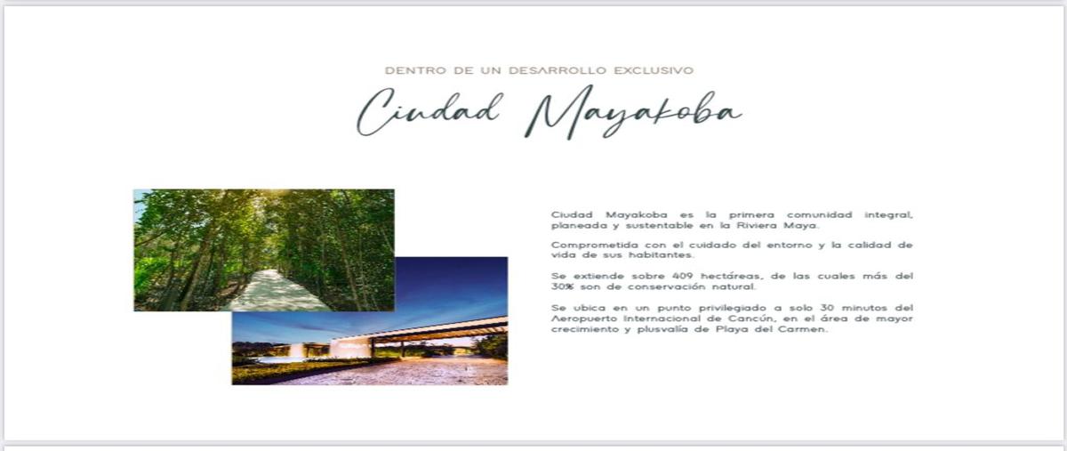 Foto de casa en solidaridad boulevard playa del carmen kilómetro 299, 77712 playa del carmen, q.r. , ciudad mayakoba, solidaridad, quintana roo, 25868697 foto 05 Foto de casa en venta en solidaridad boulevard playa del carmen kilómetro 299, 77712 playa del carmen, q.r. , ciudad mayakoba, solidaridad, quintana roo, 25868697 No. 05