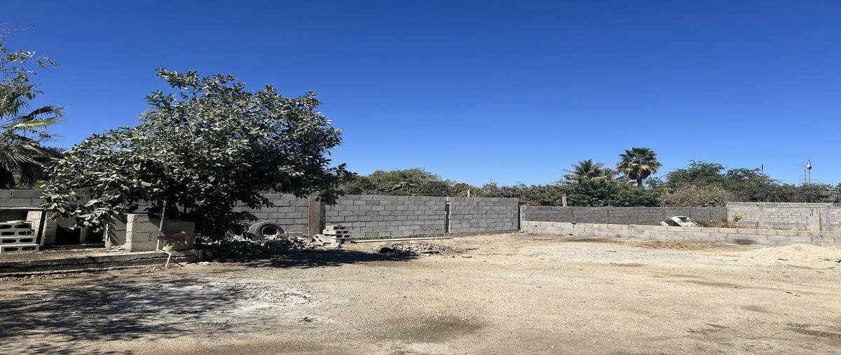 Foto de terreno habitacional en solidaridad , el zacatal, los cabos, baja california sur, 29332402 foto 03 Foto de terreno habitacional en venta en solidaridad , el zacatal, los cabos, baja california sur, 29332402 No. 03