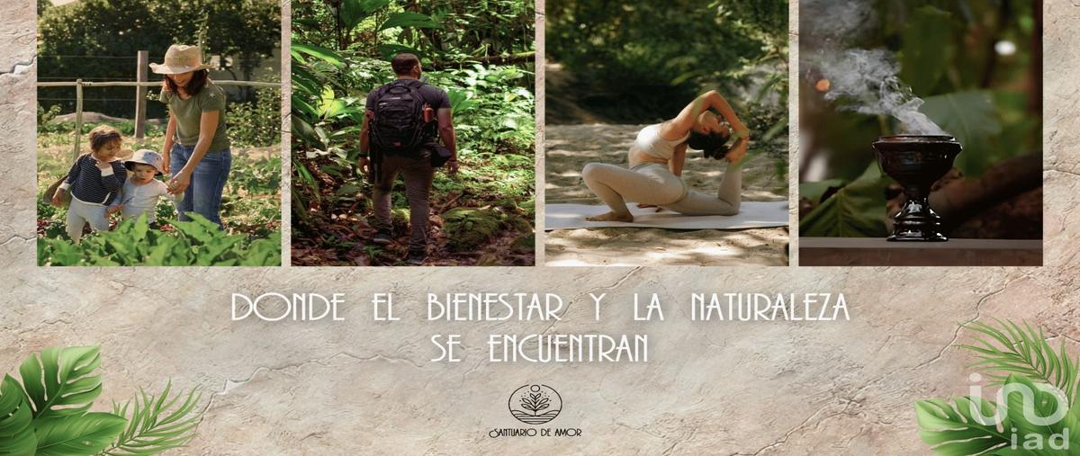 Foto de terreno habitacional en solidaridad , nuevo quintana roo, lázaro cárdenas, quintana roo, 0 foto 04 Foto de terreno habitacional en venta en solidaridad , nuevo quintana roo, lázaro cárdenas, quintana roo, 0 No. 04