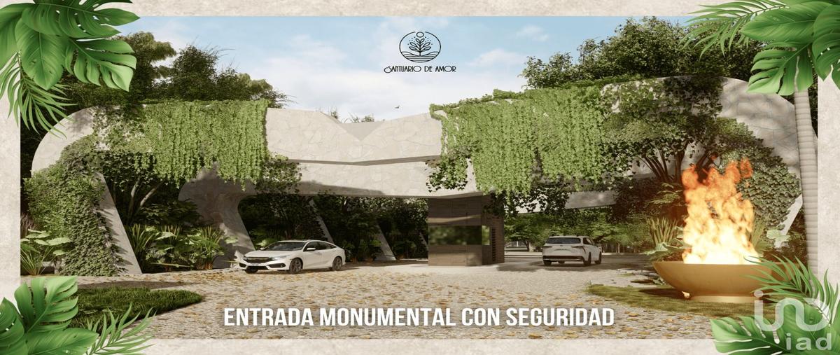 Foto de terreno habitacional en solidaridad , nuevo quintana roo, lázaro cárdenas, quintana roo, 0 foto 05 Foto de terreno habitacional en venta en solidaridad , nuevo quintana roo, lázaro cárdenas, quintana roo, 0 No. 05