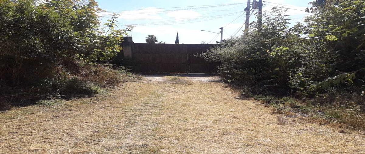 Foto de terreno habitacional en venta en  , solidaridad, san pedro tlaquepaque, jalisco, 30240435 No. 03