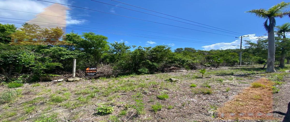 Foto de terreno habitacional en venta en  , solidaridad, solidaridad, quintana roo, 11559728 No. 02