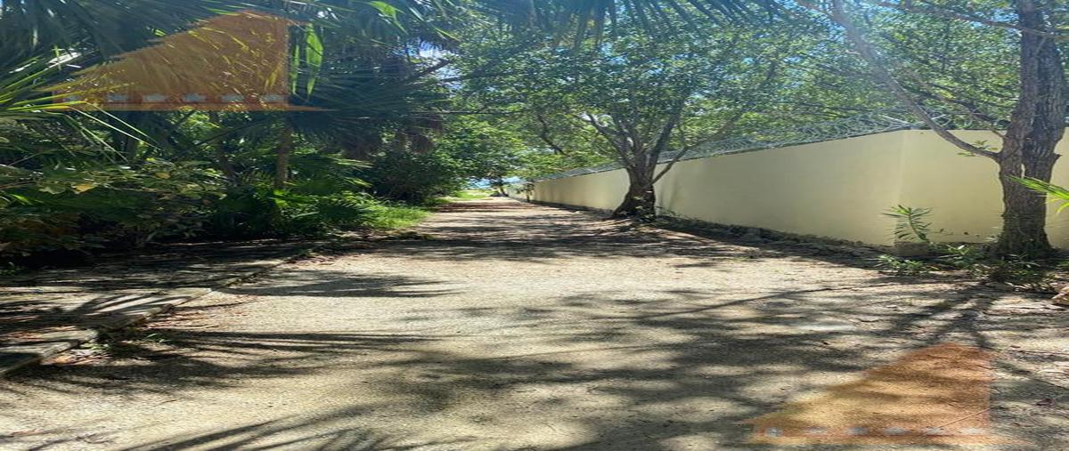 Foto de terreno habitacional en venta en  , solidaridad, solidaridad, quintana roo, 11559728 No. 03