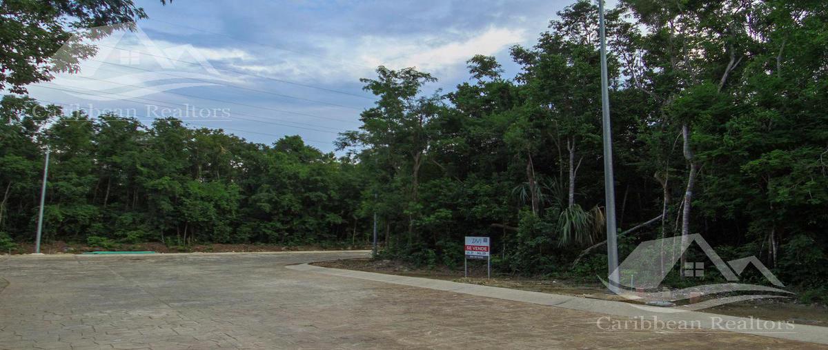 Foto de terreno habitacional en , solidaridad, solidaridad, quintana roo, 0 foto 05 Foto de terreno habitacional en venta en , solidaridad, solidaridad, quintana roo, 0 No. 05