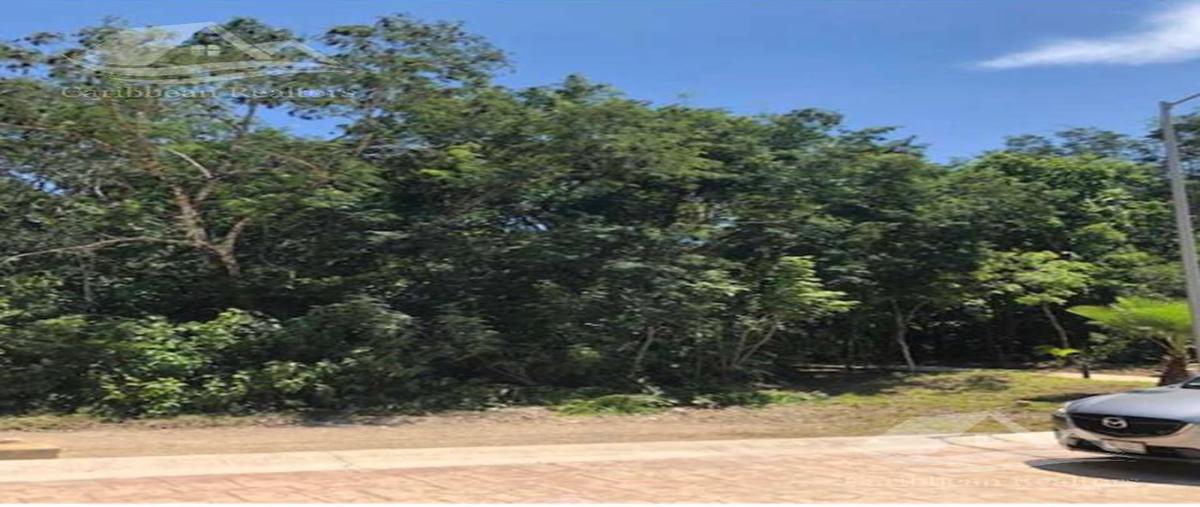 Foto de terreno habitacional en , solidaridad, solidaridad, quintana roo, 0 foto 02 Foto de terreno habitacional en venta en , solidaridad, solidaridad, quintana roo, 0 No. 02