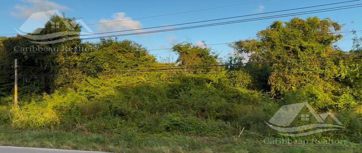 Foto de terreno habitacional en venta en  , solidaridad, solidaridad, quintana roo, 0 No. 05