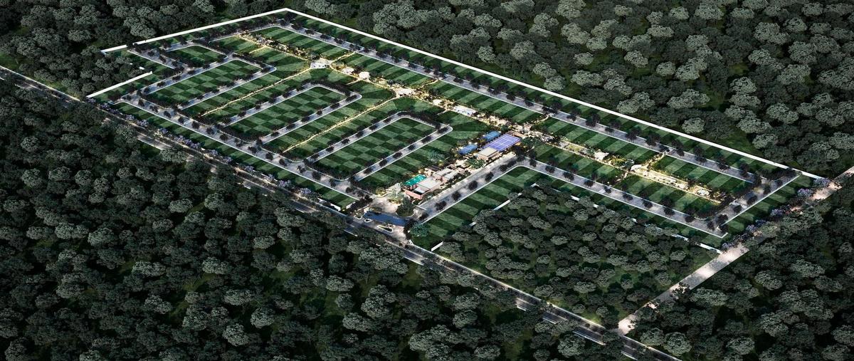 Foto de terreno habitacional en venta en  , solidaridad, solidaridad, quintana roo, 0 No. 05