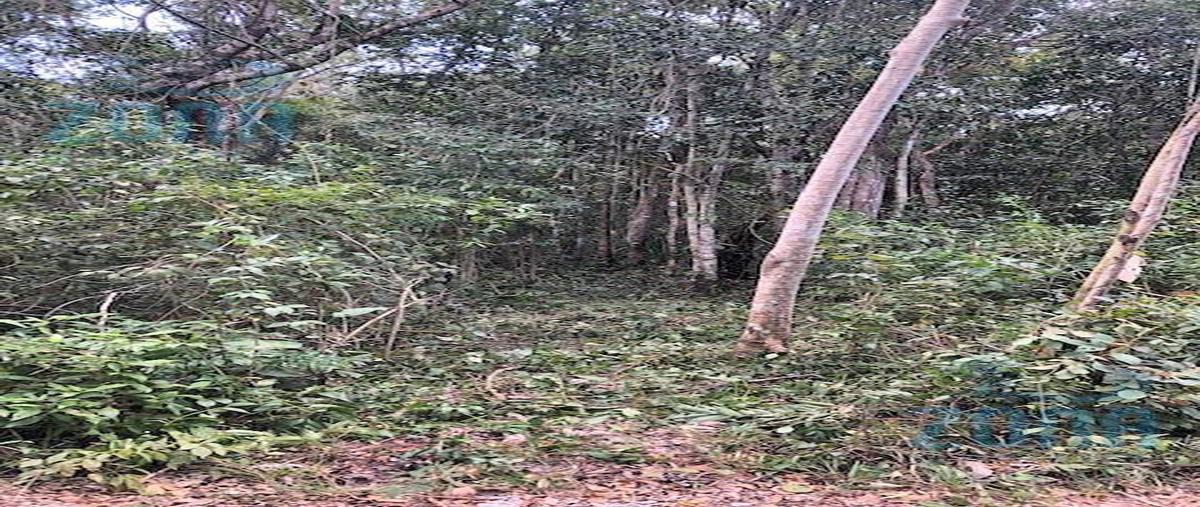 Foto de terreno habitacional en , solidaridad, solidaridad, quintana roo, 30114605 foto 03 Foto de terreno habitacional en venta en , solidaridad, solidaridad, quintana roo, 30114605 No. 03