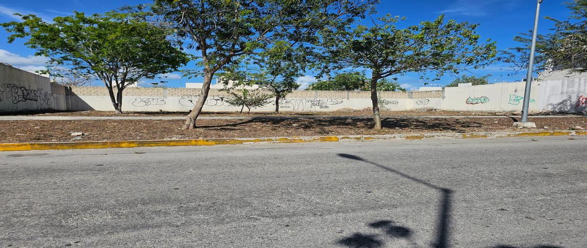 Foto de terreno habitacional en , solidaridad, solidaridad, quintana roo, 30169347 foto 03 Foto de terreno habitacional en venta en , solidaridad, solidaridad, quintana roo, 30169347 No. 03