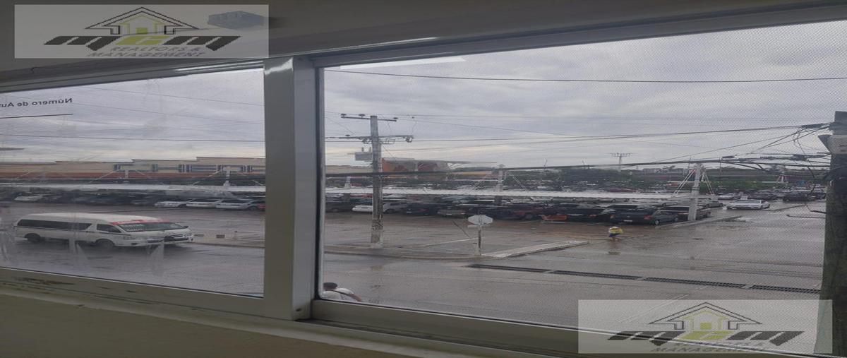 Foto de local en , solidaridad, solidaridad, quintana roo, 30301578 foto 03 Foto de local en renta en , solidaridad, solidaridad, quintana roo, 30301578 No. 03