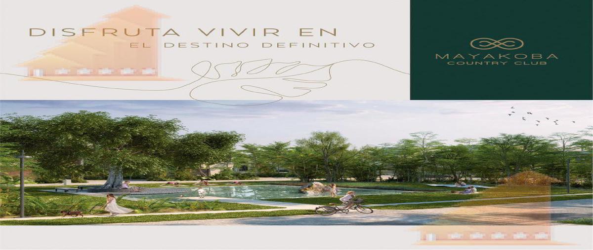 Foto de terreno habitacional en , solidaridad, solidaridad, quintana roo, 6638763 foto 02 Foto de terreno habitacional en venta en , solidaridad, solidaridad, quintana roo, 6638763 No. 02