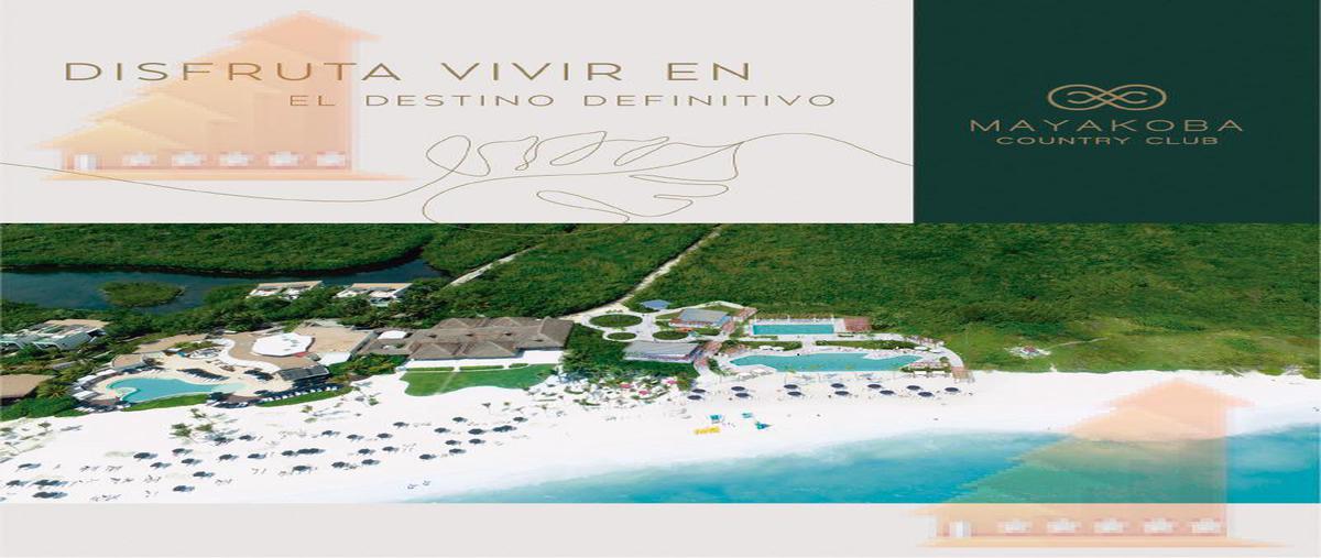 Foto de terreno habitacional en , solidaridad, solidaridad, quintana roo, 6638763 foto 04 Foto de terreno habitacional en venta en , solidaridad, solidaridad, quintana roo, 6638763 No. 04