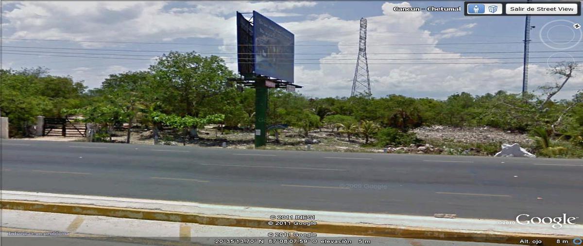 Foto de terreno habitacional en , solidaridad, solidaridad, quintana roo, 8067483 foto 05 Foto de terreno habitacional en venta en , solidaridad, solidaridad, quintana roo, 8067483 No. 05