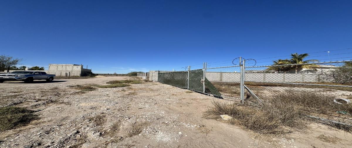 Foto de terreno habitacional en renta en solmar , el centenario, la paz, baja california sur, 29039533 No. 03