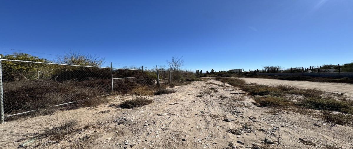 Foto de terreno habitacional en renta en solmar , el centenario, la paz, baja california sur, 29039533 No. 04