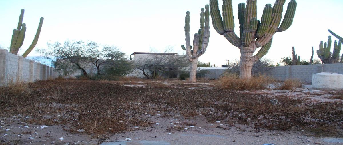 Foto de terreno habitacional en solmar , el centenario, la paz, baja california sur, 30445932 foto 02 Foto de terreno habitacional en renta en solmar , el centenario, la paz, baja california sur, 30445932 No. 02