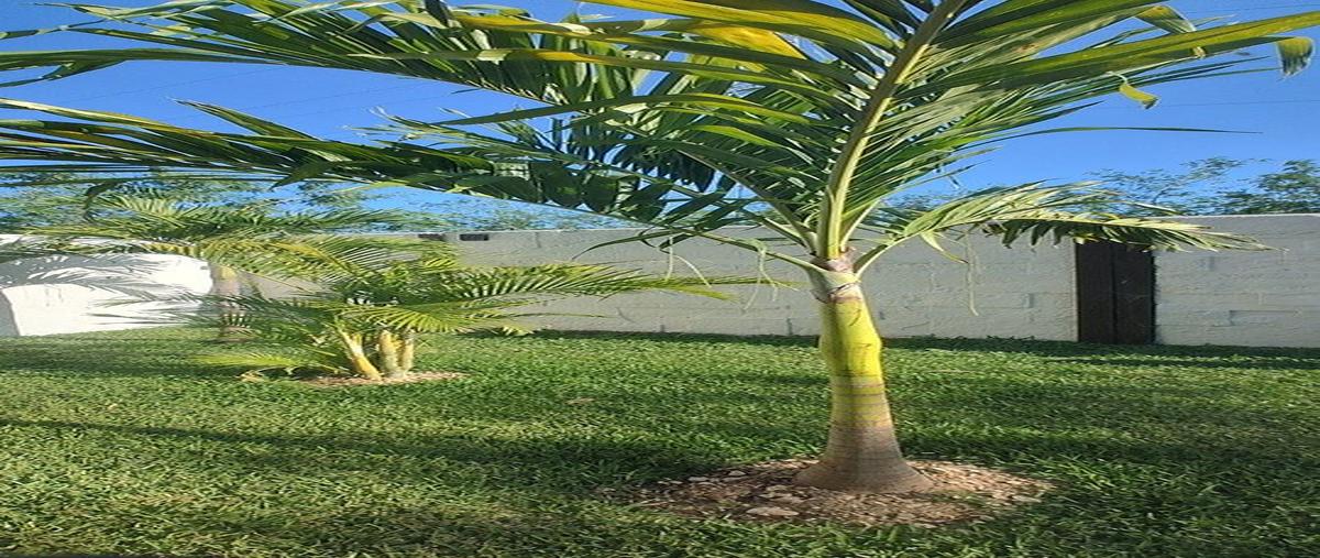 Foto de casa en soluna , temozon norte, mérida, yucatán, 0 foto 03 Foto de casa en venta en soluna , temozon norte, mérida, yucatán, 0 No. 03