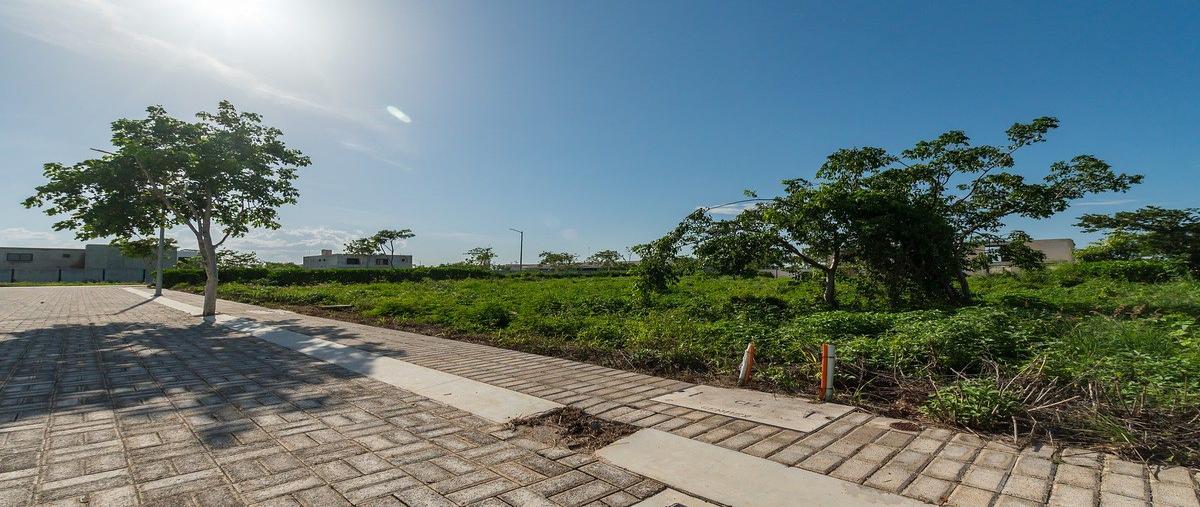 Foto de terreno habitacional en venta en soluna , temozon norte, mérida, yucatán, 0 No. 04