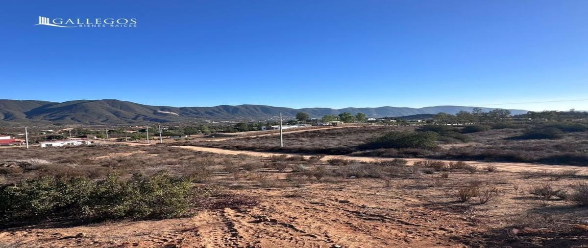 Foto de terreno habitacional en venta en sonora , francisco zarco (valle de guadalupe), ensenada, baja california, 30420011 No. 03