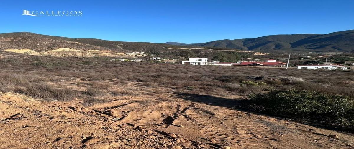 Foto de terreno habitacional en venta en sonora , francisco zarco (valle de guadalupe), ensenada, baja california, 30420011 No. 04