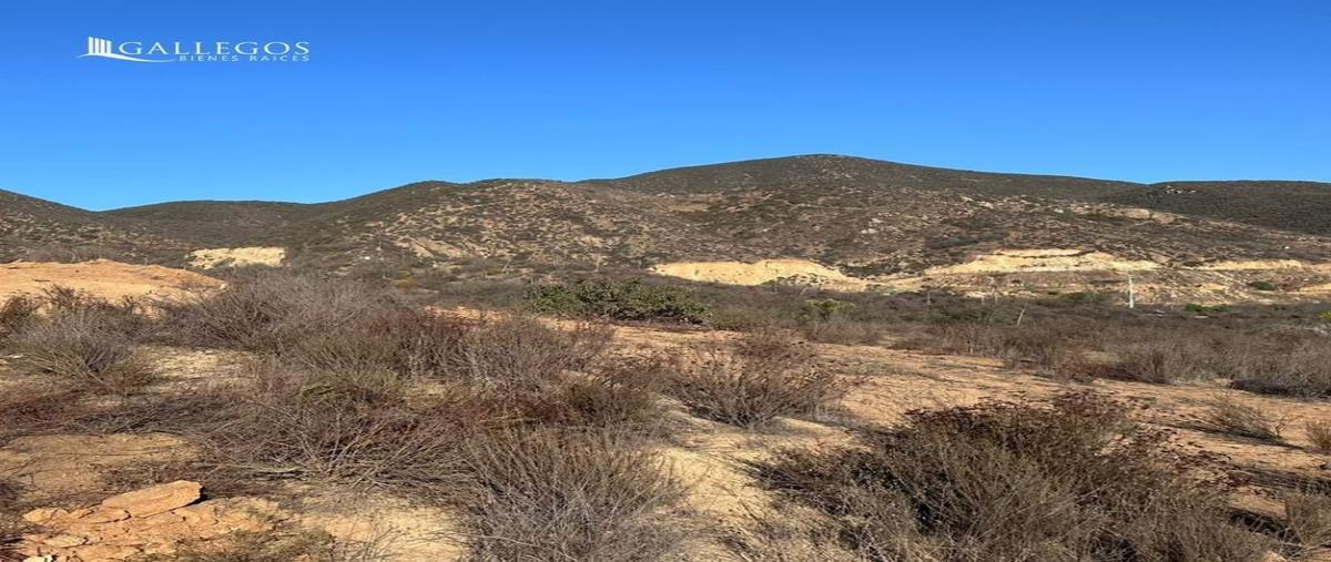 Foto de terreno habitacional en venta en sonora , francisco zarco (valle de guadalupe), ensenada, baja california, 30420011 No. 05
