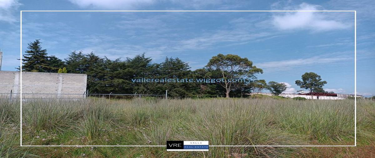 Foto de terreno habitacional en venta en sor juana ines de la cruz 05, barrio san pedro zona norte, almoloya de juárez, méxico, 25512686 No. 04