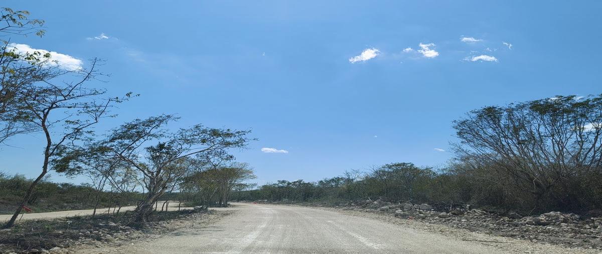 Foto de terreno habitacional en venta en sorenna , chicxulub, chicxulub pueblo, yucatán, 0 No. 04