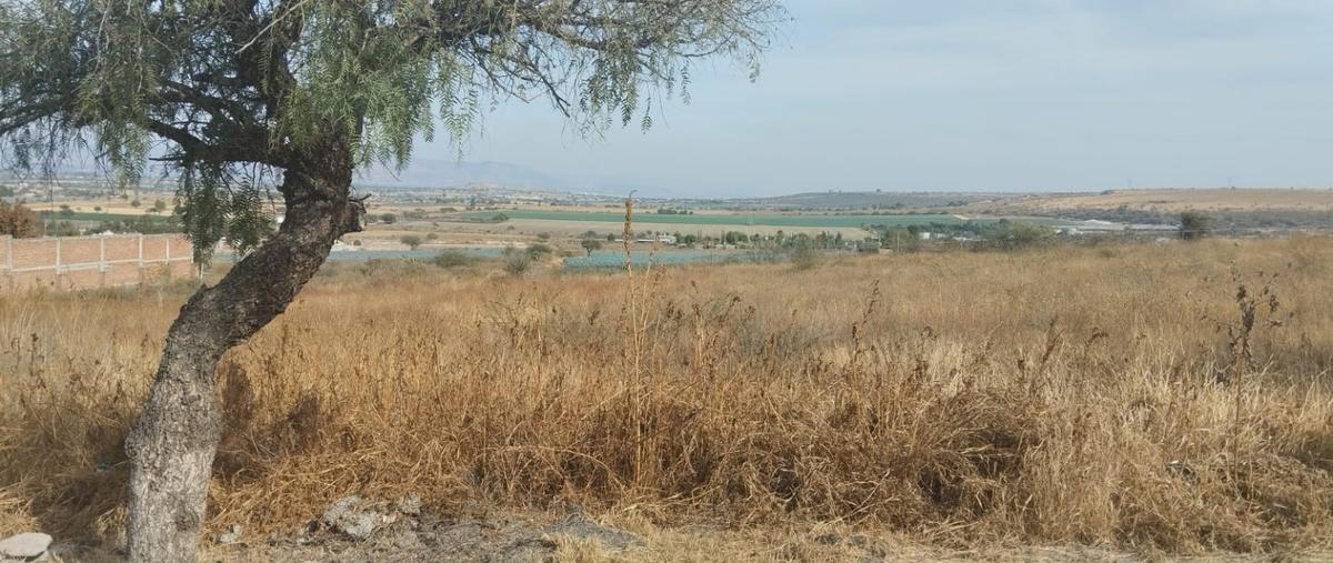 Foto de terreno habitacional en venta en  , sotelo (las playas de sotelo), silao de la victoria, guanajuato, 26791755 No. 05