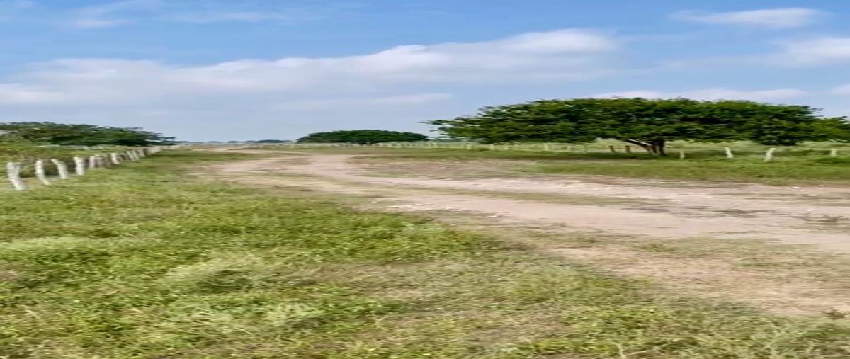 Foto de rancho en venta en  , soto la marina centro, soto la marina, tamaulipas, 27332319 No. 03
