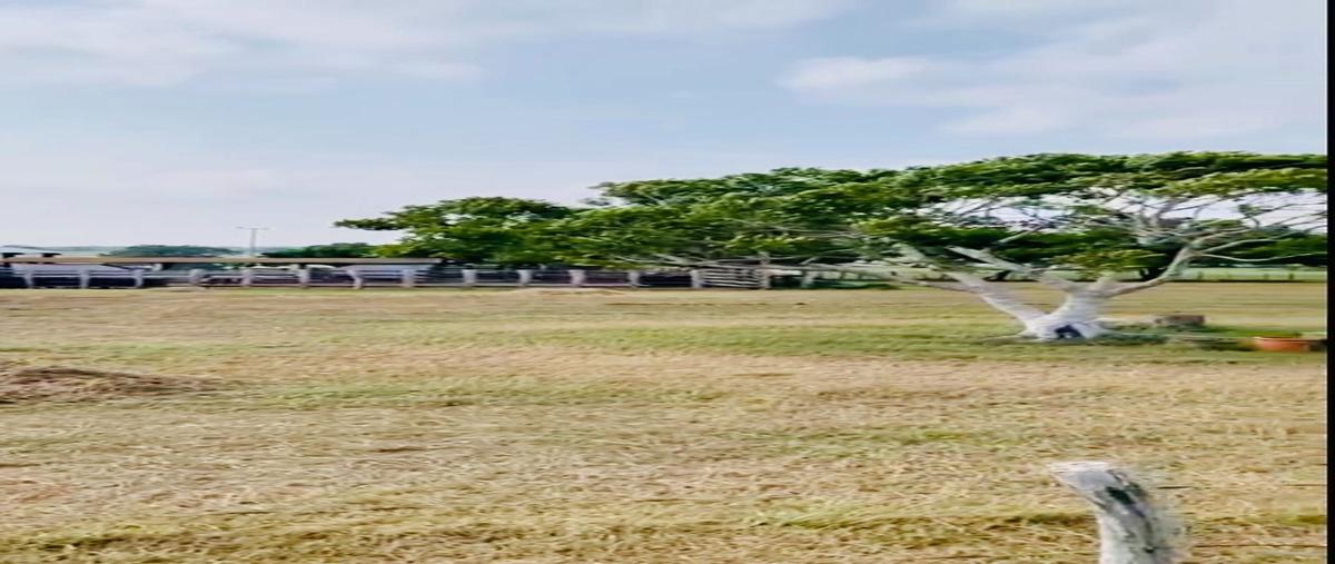 Foto de rancho en venta en  , soto la marina centro, soto la marina, tamaulipas, 27332319 No. 04