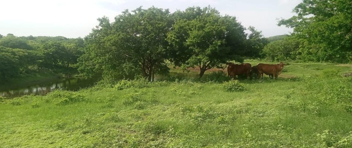Foto de rancho en venta en  , soto la marina centro, soto la marina, tamaulipas, 29056135 No. 03