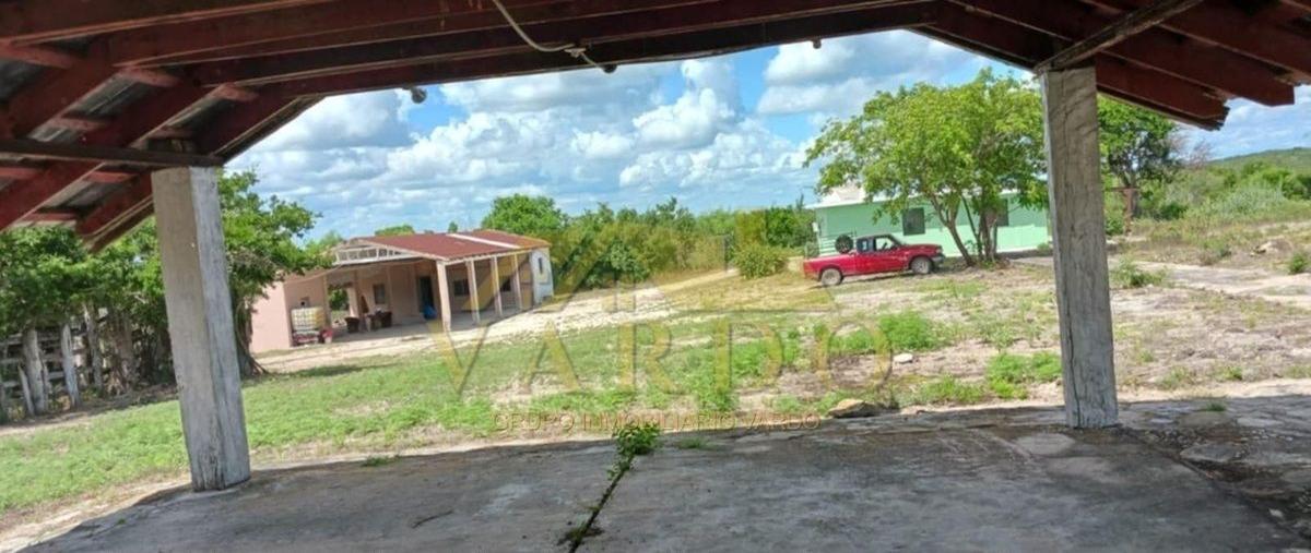 Foto de rancho en venta en soto la marina , soto la marina centro, soto la marina, tamaulipas, 29921909 No. 03