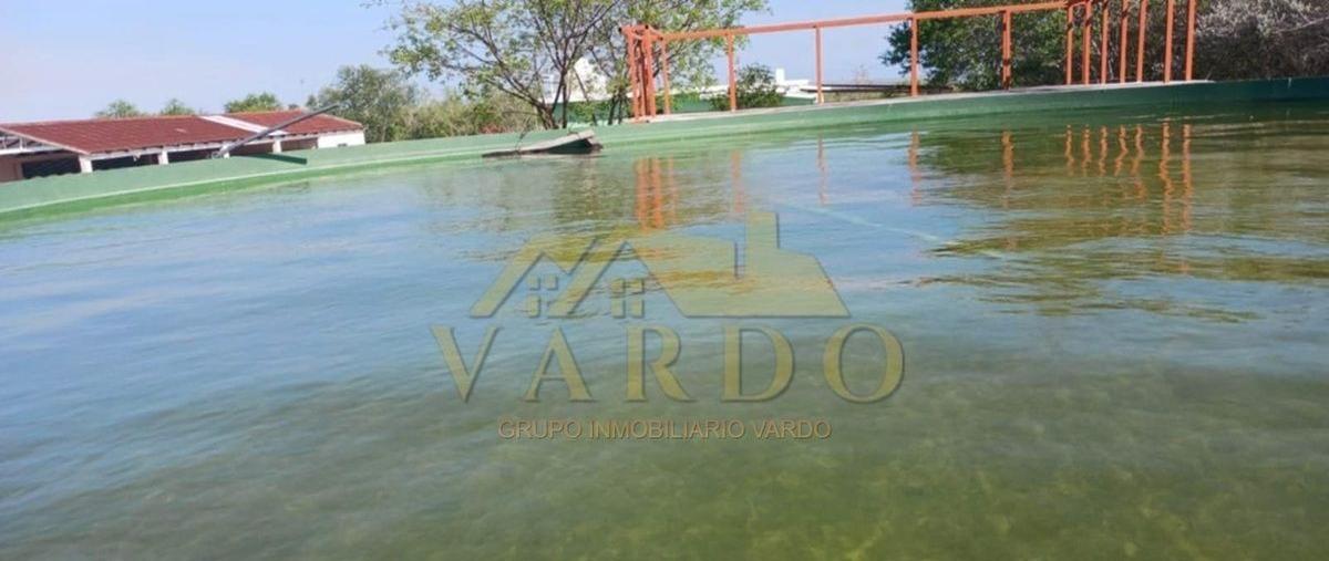 Foto de rancho en venta en soto la marina , soto la marina centro, soto la marina, tamaulipas, 29921909 No. 05
