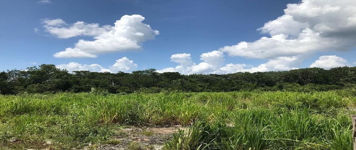 Foto de rancho en venta en  , sotuta, sotuta, yucatán, 27680962 No. 04