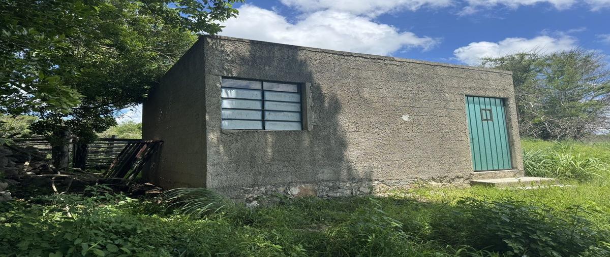 Foto de terreno habitacional en venta en  , sotuta, sotuta, yucatán, 0 No. 03