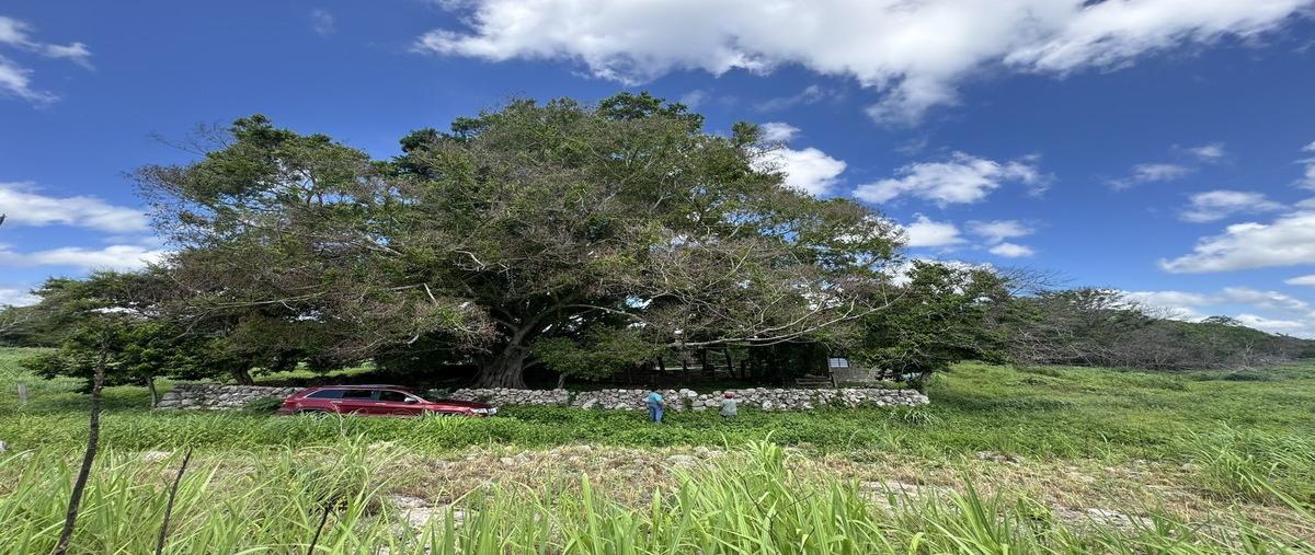 Foto de terreno habitacional en venta en  , sotuta, sotuta, yucatán, 0 No. 04