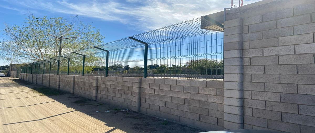 Foto de terreno habitacional en renta en  , stanza toscana, culiacán, sinaloa, 0 No. 03