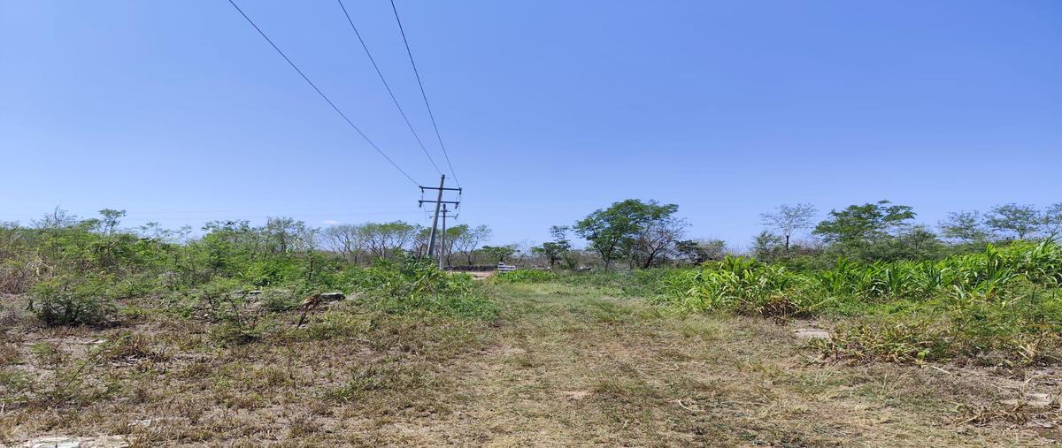 Foto de terreno habitacional en , subincancab, timucuy, yucatán, 28011133 foto 01 Foto de terreno habitacional en venta en , subincancab, timucuy, yucatán, 28011133 No. 01