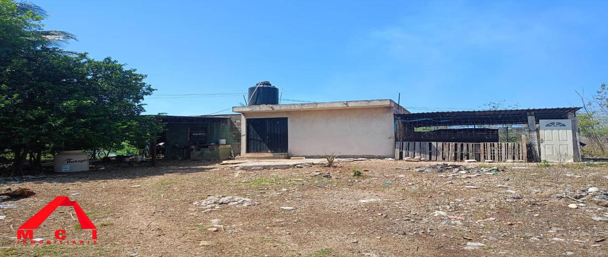 Foto de terreno habitacional en , subincancab, timucuy, yucatán, 28011133 foto 05 Foto de terreno habitacional en venta en , subincancab, timucuy, yucatán, 28011133 No. 05