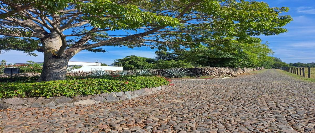 Foto de terreno habitacional en venta en  , suchitlán, comala, colima, 31693544 No. 03