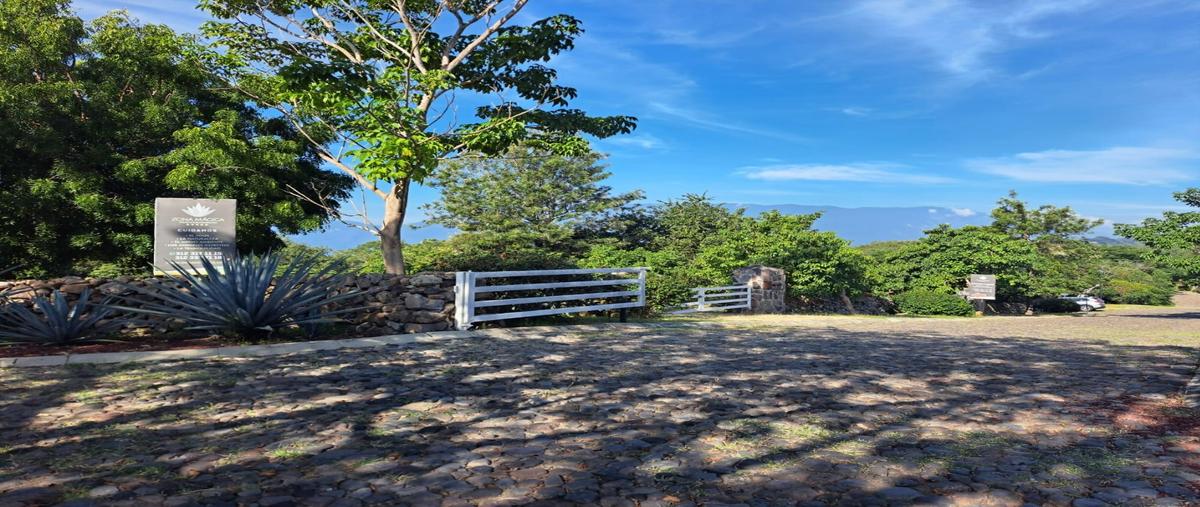 Foto de terreno habitacional en venta en  , suchitlán, comala, colima, 31693544 No. 05