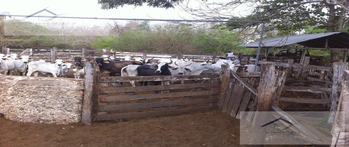Foto de terreno comercial en venta en  , sucila, sucilá, yucatán, 18498256 No. 03