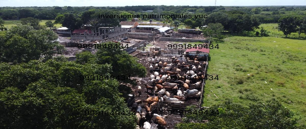 Foto de rancho en venta en  , sucila, sucilá, yucatán, 0 No. 03
