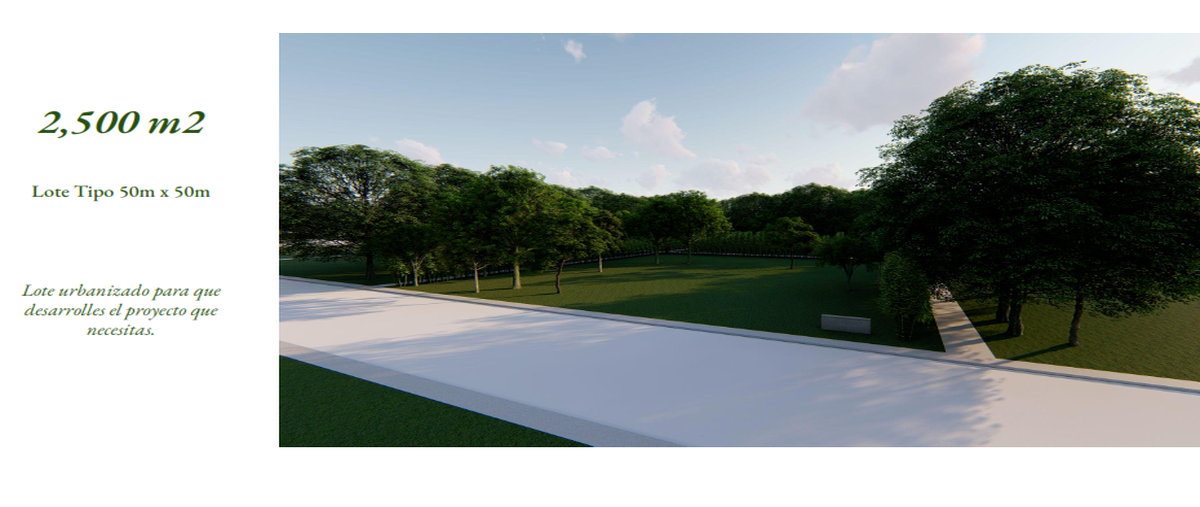 Foto de terreno habitacional en , sudzal, sudzal, yucatán, 26427597 foto 05 Foto de terreno habitacional en venta en , sudzal, sudzal, yucatán, 26427597 No. 05