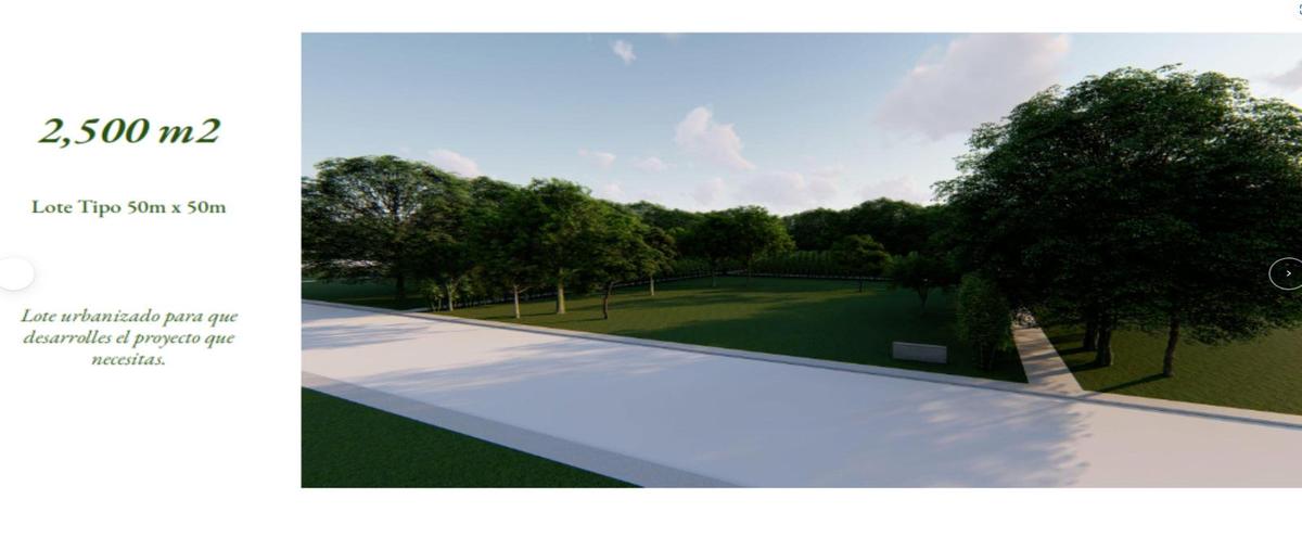 Foto de terreno habitacional en venta en  , sudzal, sudzal, yucatán, 0 No. 03